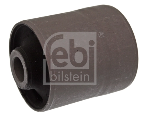 Mounting, control/trailing arm